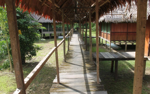 Tropical Adventures & Expeditions