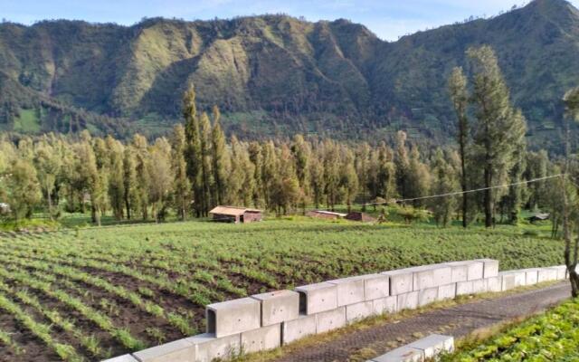 Bromo Seruni Guesthouse