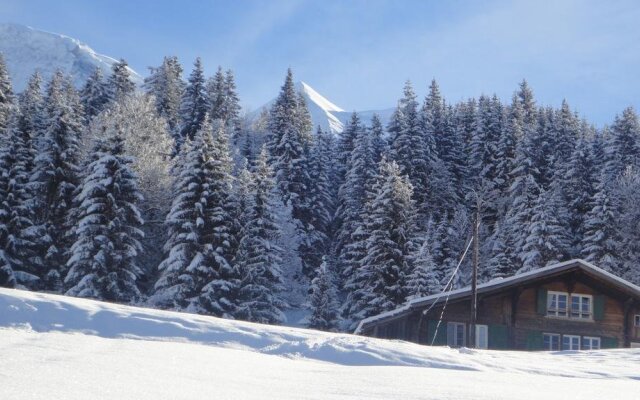Chalet Aelpli Bed and Breakfast
