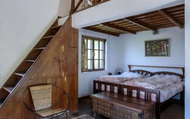 Jungle Lore Birding Lodge