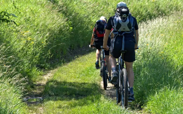 3 Person Holiday Park Home in Orsa