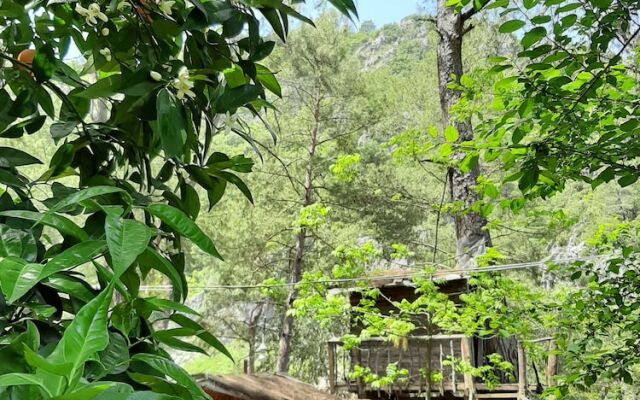 Altaris Bungalows Olympos