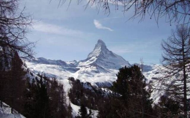 Hotel Alfa Zermatt