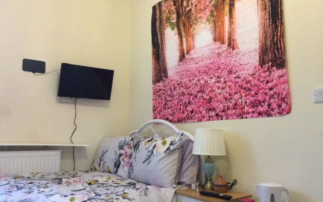 TDM Bachelot Lettings Ltd
