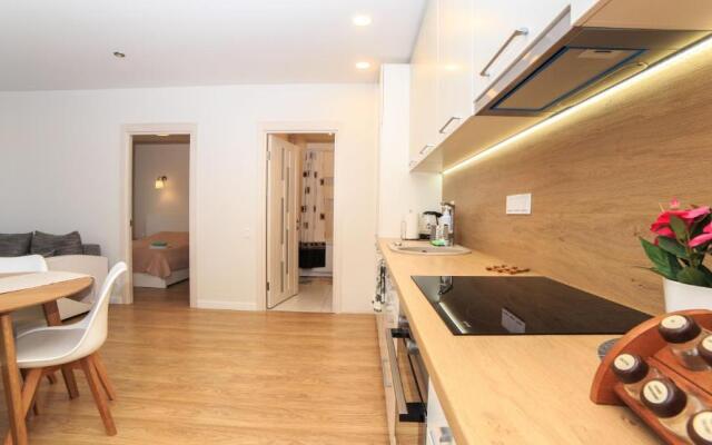 VIP Apartaments - Zalgirio 96