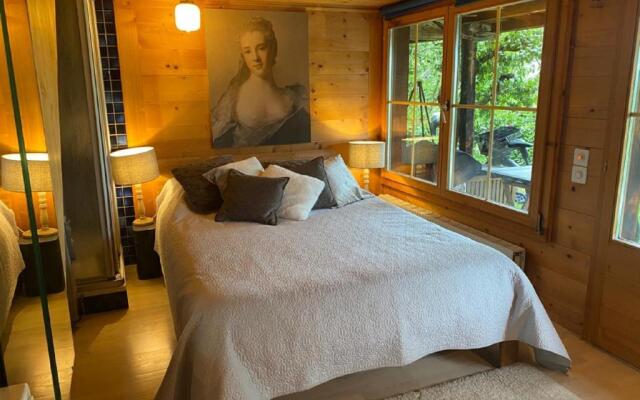 Gstaad Paradise View Chalet with Jacuzzi