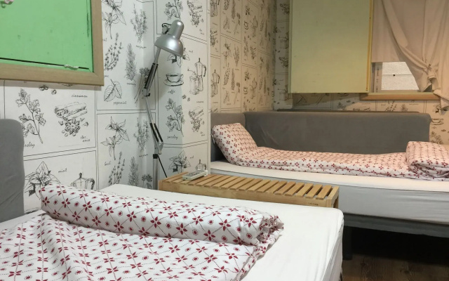 Backpackers in Jeju City Center
