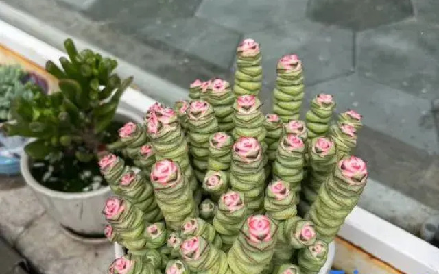 Banyi (Half-One) LakeSide Villa