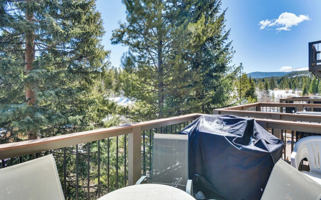 Walk to Town & Slopes: Riverfront Breckenridge Gem