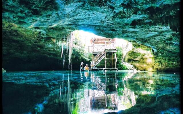 Homing Bird Apartments
