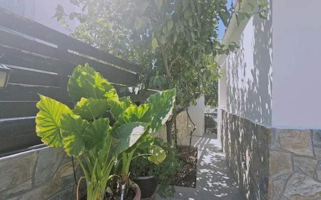 148 Lim- Stay Synergy House