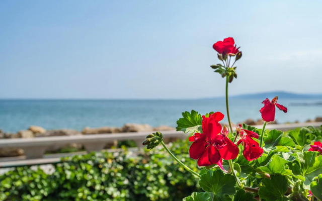 Apartment Poemia, complex Carpe Diem, free parking