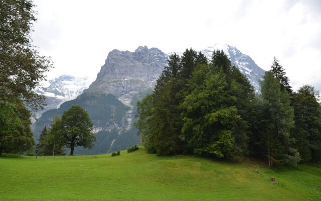 Alpine Boutique Apartments, Grindelwald gletscher