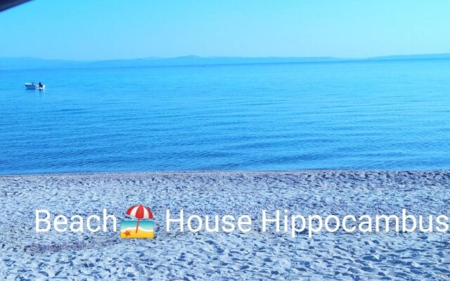 Hippocampοus Niki's Beach House