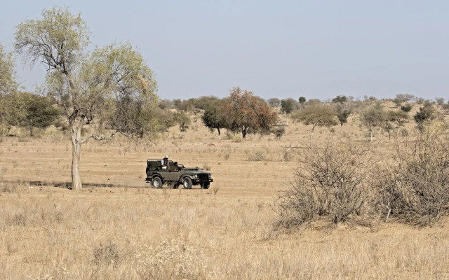 Manvār Shergarh, The Desert Resort