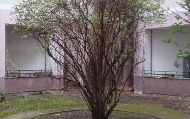 Sevenrooms-Berlin