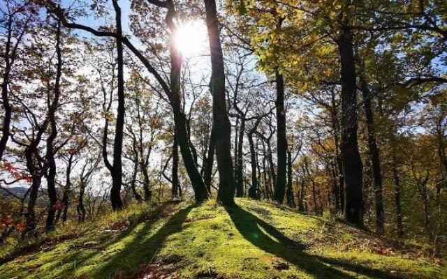 Гостевой дом Natali (Натали)