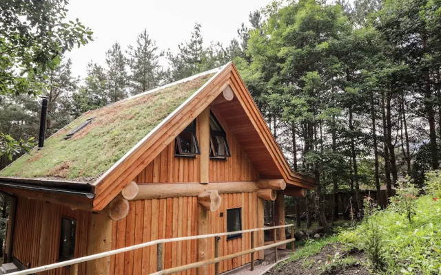 Pine Marten Lodge