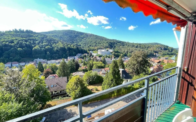 Compact Apartment in Bad Herrenalb With Forest Views