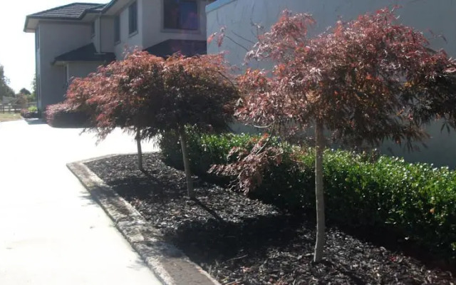 Nourish Bed and Breakfast