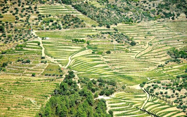 Room in a Farmer House