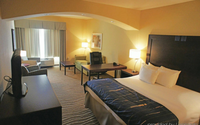 Spark by Hilton Hammond