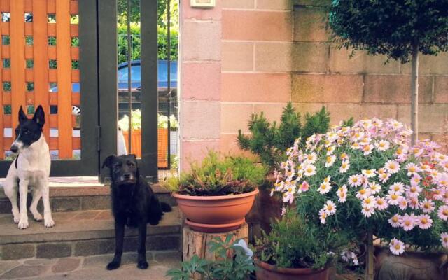 Bed & Breakfast Da Rosy
