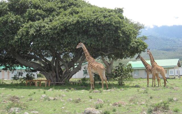 Hillside Retreat - Africa Amini Life
