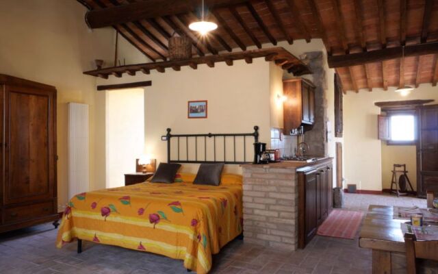 Mimosa - Borgo la Civitella