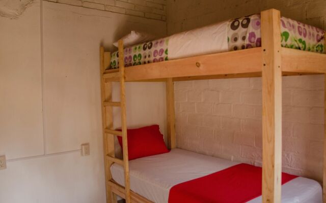 Alebrijes Surf House - Adults Only - Hostel