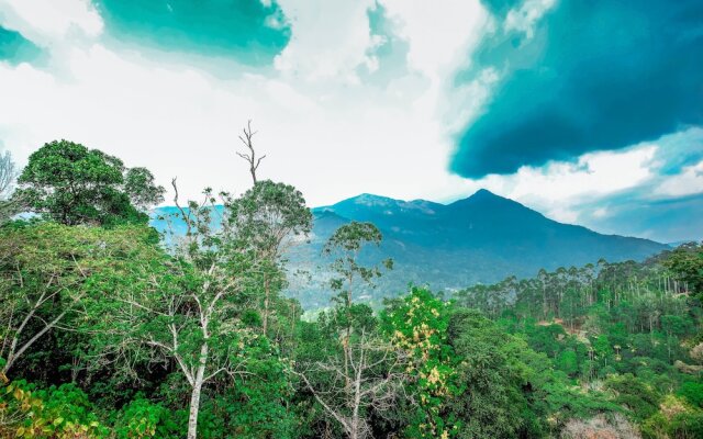 The New Munnar Summer Castle