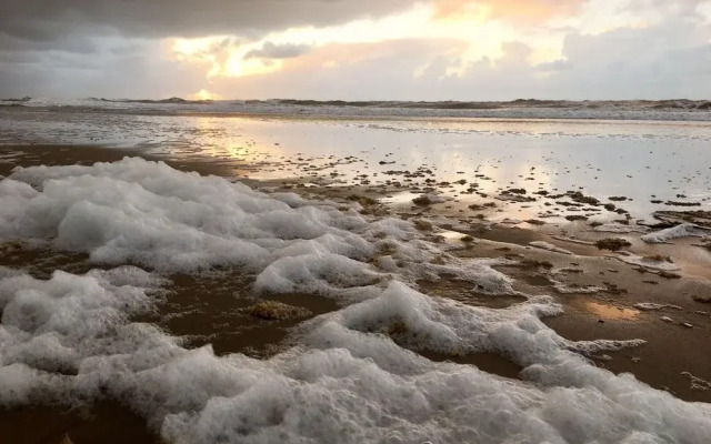 Relax Cozy Dirkshorn Stay