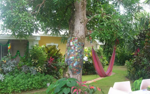 Casa Por Que No