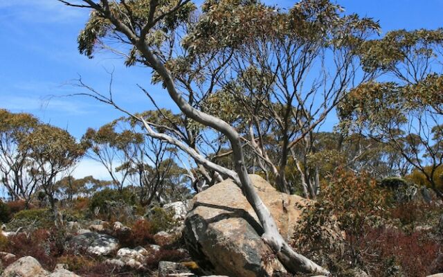 Snug Beach Cabin And Caravan Park