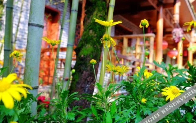 Nongyue Emei Shanju Hostel