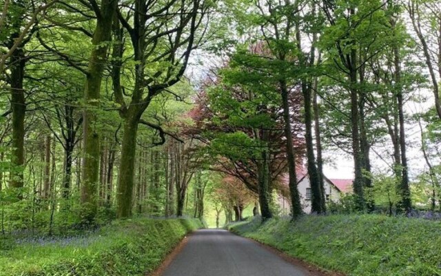 The Chapel 3 Minute Drive to Saundersfoot Wales