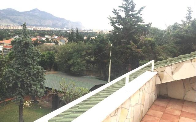 Villa SiS Dandify