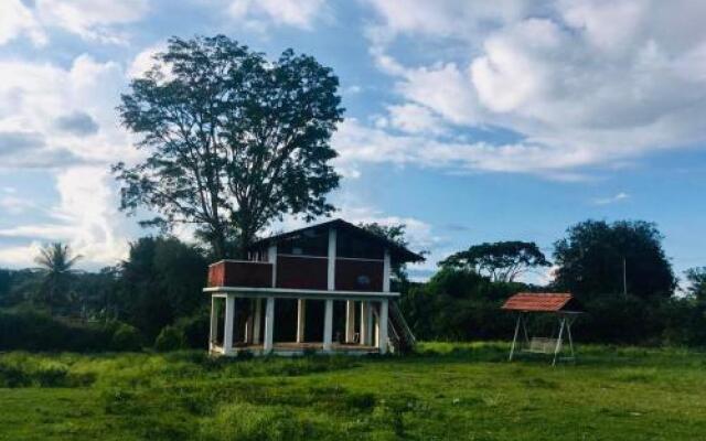 Jungle Inn Resorts