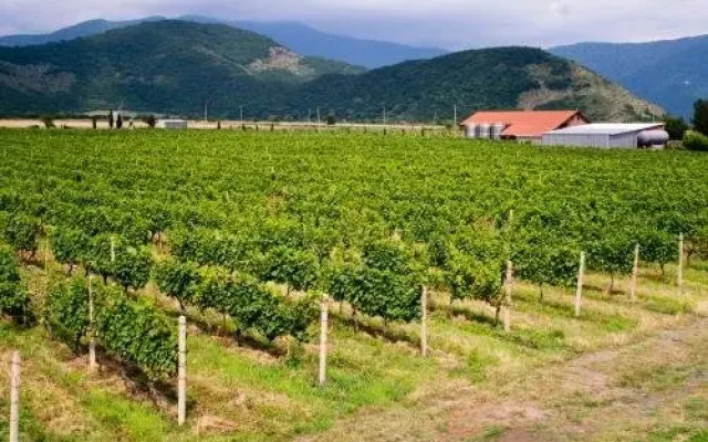 Shaloshvili's Cellar Hotel