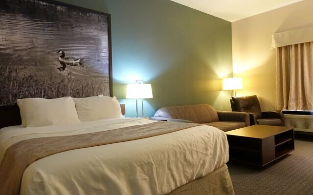 Super 8 Dauphin