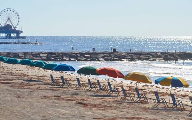 Galveston Beach Condos