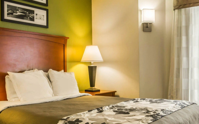 Sleep Inn Macon I-75