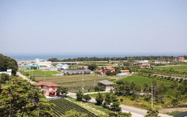 Yangyang See Star Donghae