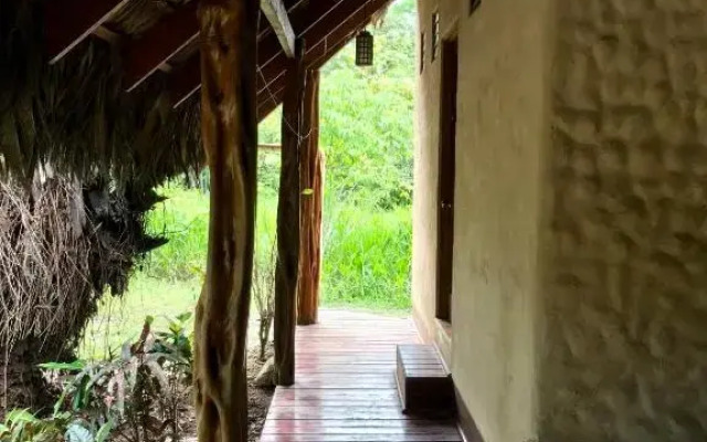 Palapa Hut Hostel & Camping