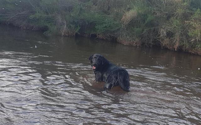 Thandamanzi Self Catering