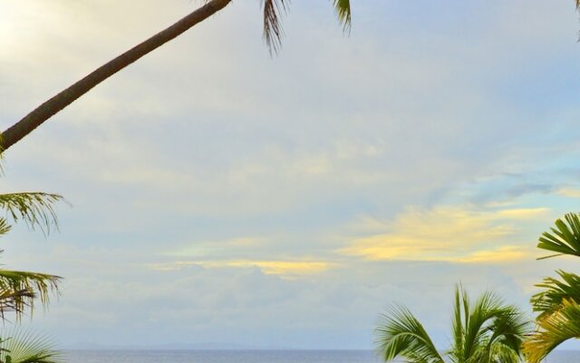 Taveuni Palms