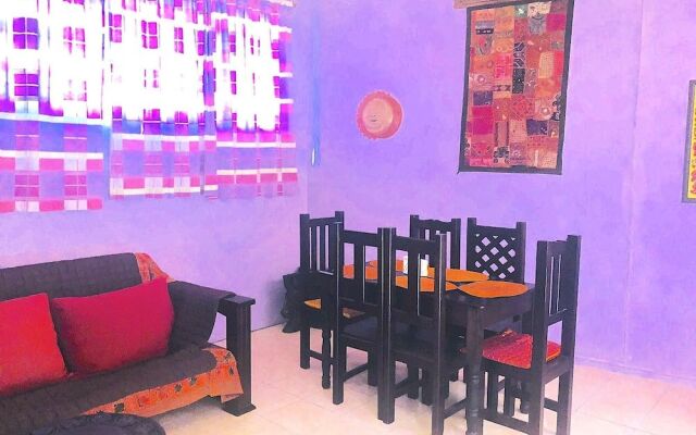 Amazing House of View