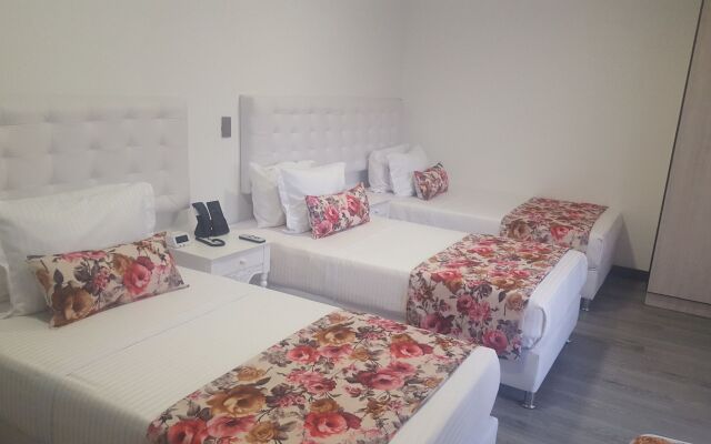 Hotel Arvut Collection
