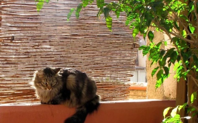 Hostal B&B Poblenou