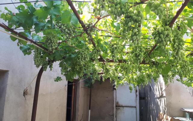 Diaoxi Guest House